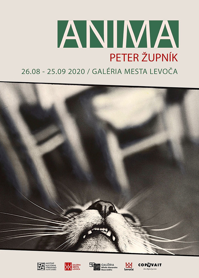 Peter Župník - Anima. Galéria mesta Levoča. 26.08 - 25.09 2020